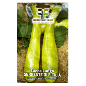 Semi Zucca Serpente di Sicilia - immagine 1