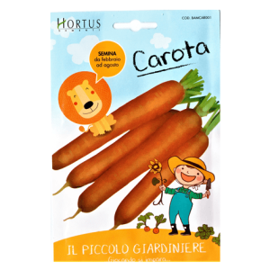 Semi Carota Nantese di Chioggia - Il Piccolo Giardiniere