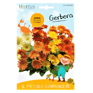 Semi Fiori Gerbera Gigante - Il Piccolo Giardiniere