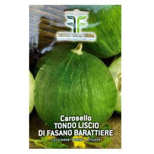 Semi Carosello Tondo Liscio di Fasano Barattiere - immagine 1