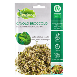 Semi Germogli Bio Edibili di Cavolo Broccolo - immagine 1