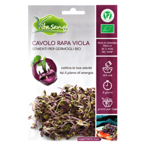 Semi Germogli Bio Edibili di Cavolo Rapa Viola - immagine 1