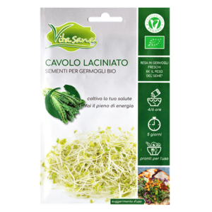 Semi Germogli Bio Edibili di Cavolo Laciniato - immagine 1