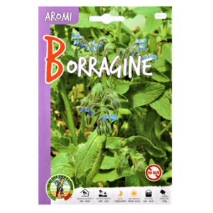 Semi Borragine - Le Aromatiche - immagine 1