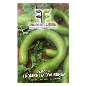 Semi Zucca Trombetta d'Albenga - immagine 1