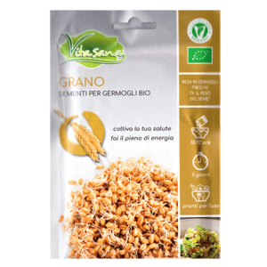 Semi Germogli Bio Edibili di Grano - immagine 1