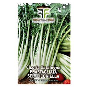 Semi Cicoria Catalogna Frastagliata Sel. Cicoriella