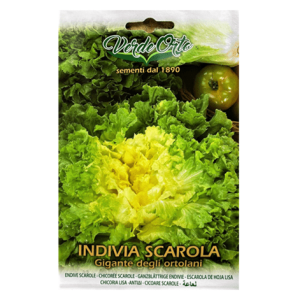 Semi Indivia Scarola Gigante degli Ortolani - immagine 1