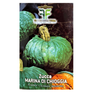 Semi Zucca Marina di Chioggia