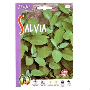 Semi Salvia - Le Aromatiche - immagine 1