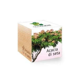 ECOCUBE - Albero Acacia di seta