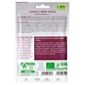 Semi Germogli Bio Edibili di Cavolo Rapa Viola - immagine 2