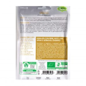 Semi Germogli Bio Edibili di Grano - immagine 2