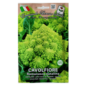 Semi Cavolfiore Romanesco Natalino - immagine 1