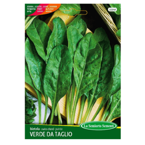 Semi Bietola da Coste Bietina di Sarno da Taglio