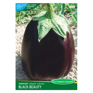 Semi Melanzana Black Beauty