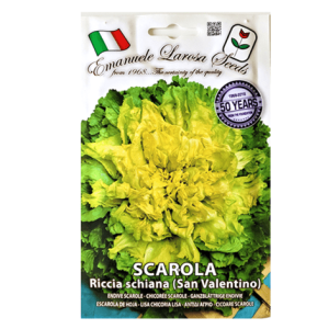 Semi Indivia Scarola Riccia Schiana - immagine 1