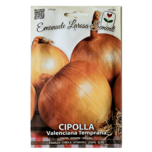 Semi Cipolla Valenciana Temprana - immagine 1