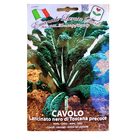 200 Semi Di Cavolo Mizuna - SemiSelvaggio, Sementi Riproducibili Non Ibride, Per Coltivazione Invernale, Rustiche Fino A -12°C