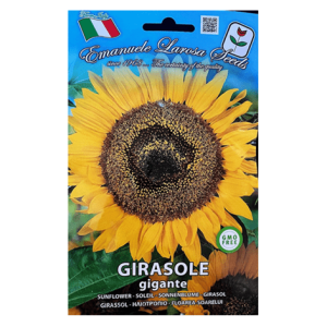 Semi Girasole Gigante - immagine 1