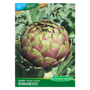 Semi Carciofo Romanesco Tondo - immagine 1