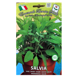 Semi Salvia - immagine 1