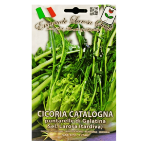 Semi Cicoria Catalogna - immagine 1
