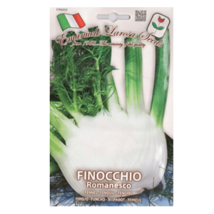 Semi Finocchio Romanesco