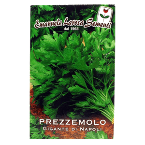 Semi Prezzemolo Gigante di Napoli - immagine 1