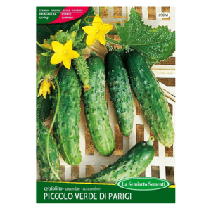 Semi Cetriolo Piccolo Verde di Parigi - immagine 1