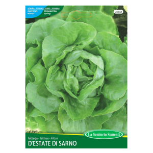 Semi Lattuga d'Estate di Sarno - immagine 1