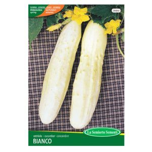 Semi Cetriolo Bianco - immagine 1