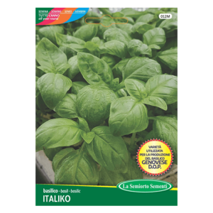 Semi Basilico Italiko - Genovese D.O.P. - immagine 1
