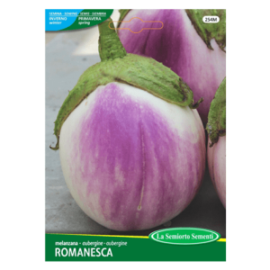 Semi Melanzana Romanesca - immagine 1