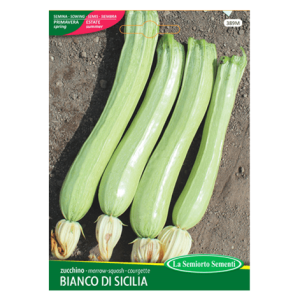 Semi Zucchino Bianco di Sicilia - immagine 1