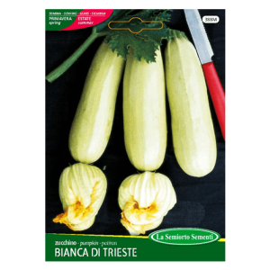 Semi Zucchino Bianco di Trieste