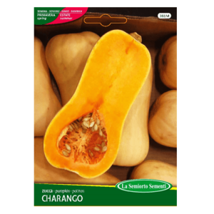 Semi Zucca Charango - immagine 1