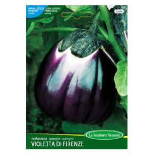Semi Melanzana Violetta di Firenze - immagine 1