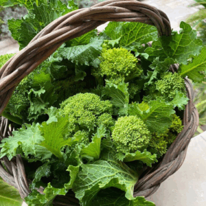 100g Semi Di Cime Di Rapa